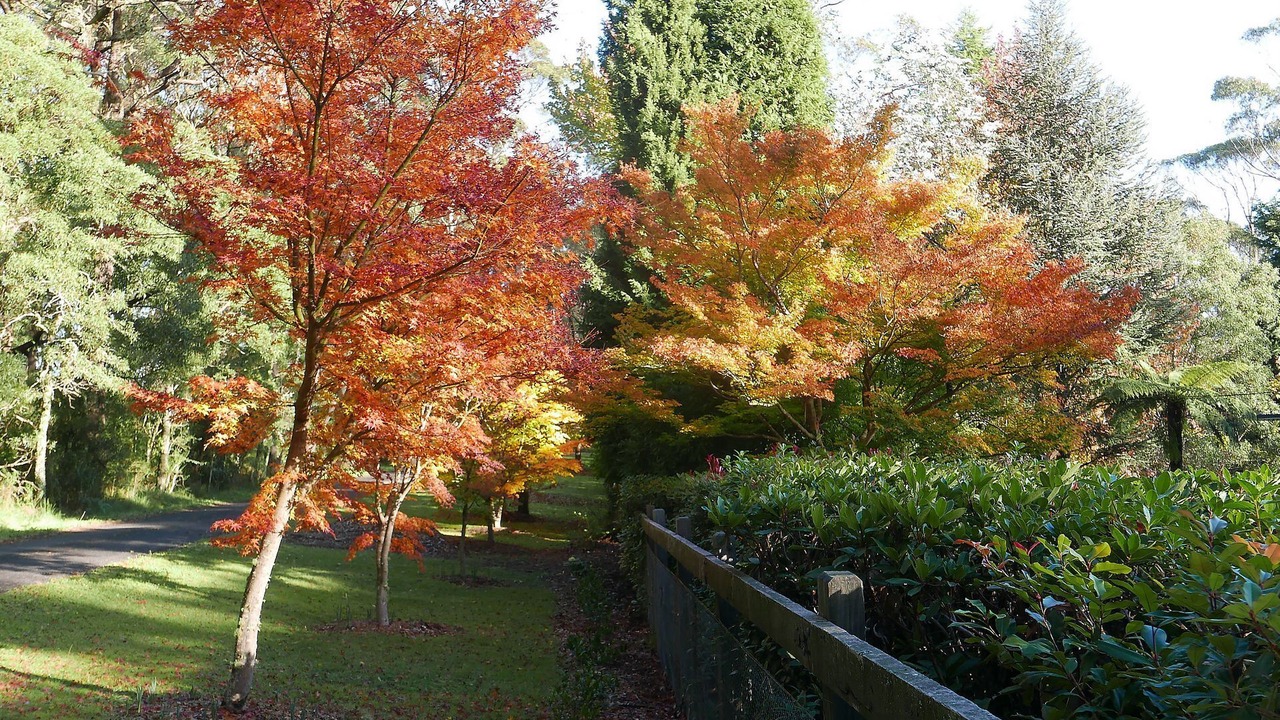 Photo of Outdoor in Mount Wilson