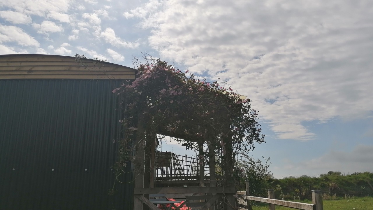 Photo of Outdoor in Maenclochog