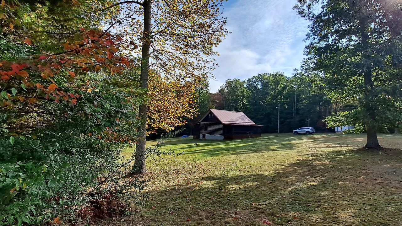 Photo of Outdoor in True