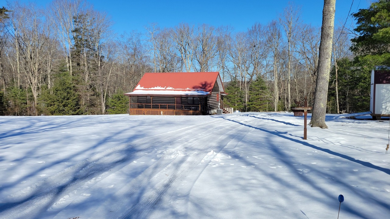Photo of Outdoor in True