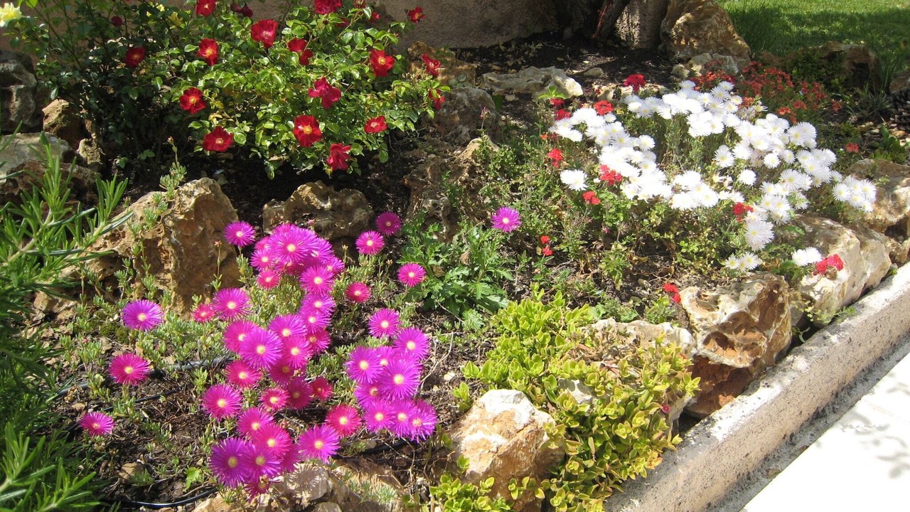 Photo of Outdoor in Saint-Paul-en-Foret