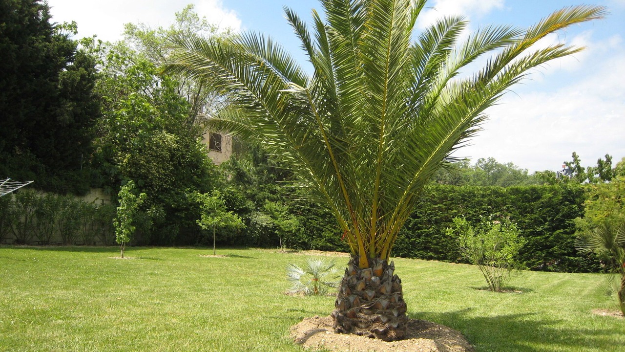 Photo of Outdoor in Saint-Paul-en-Foret