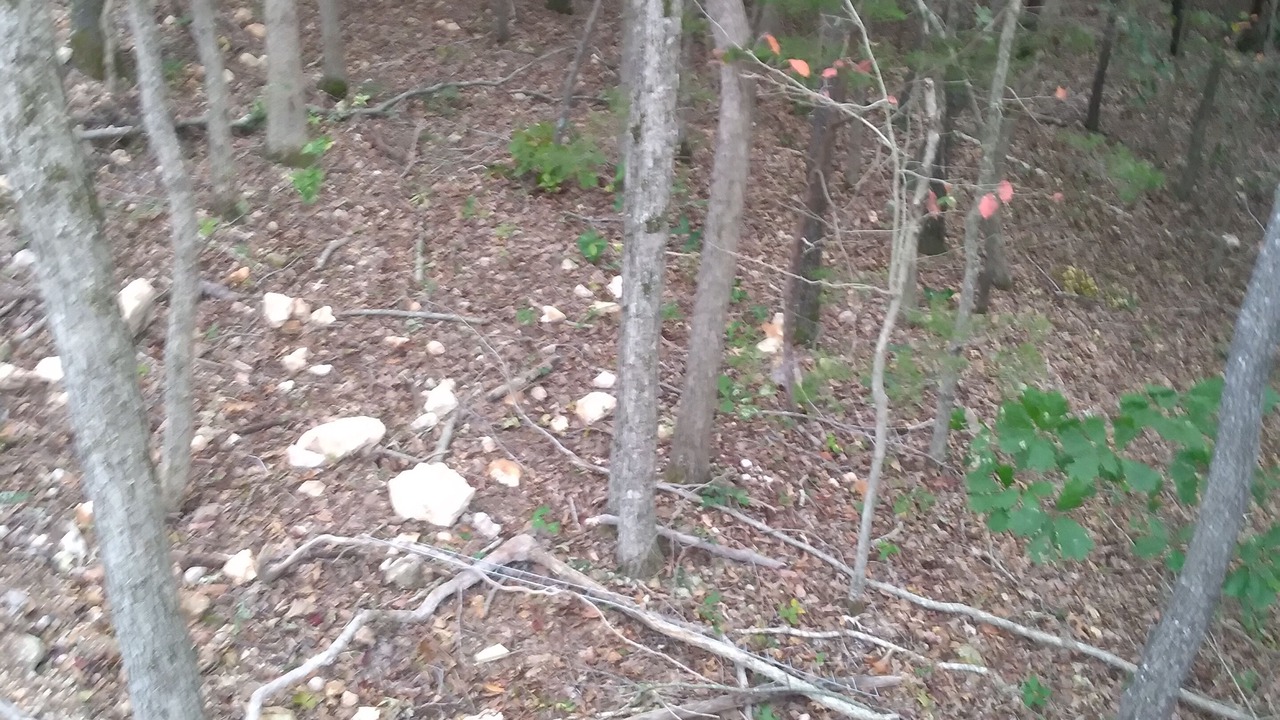 Photo of Outdoor in Marshall