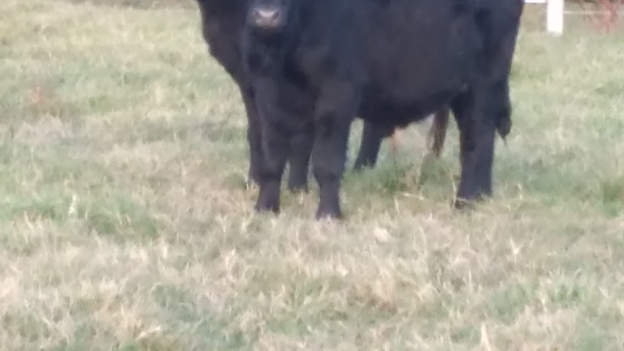 Photo of Outdoor in Marshall