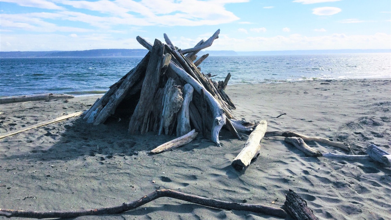 Photo of Others in Hansville