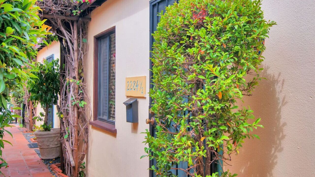 Photo of Outdoor in Old Town