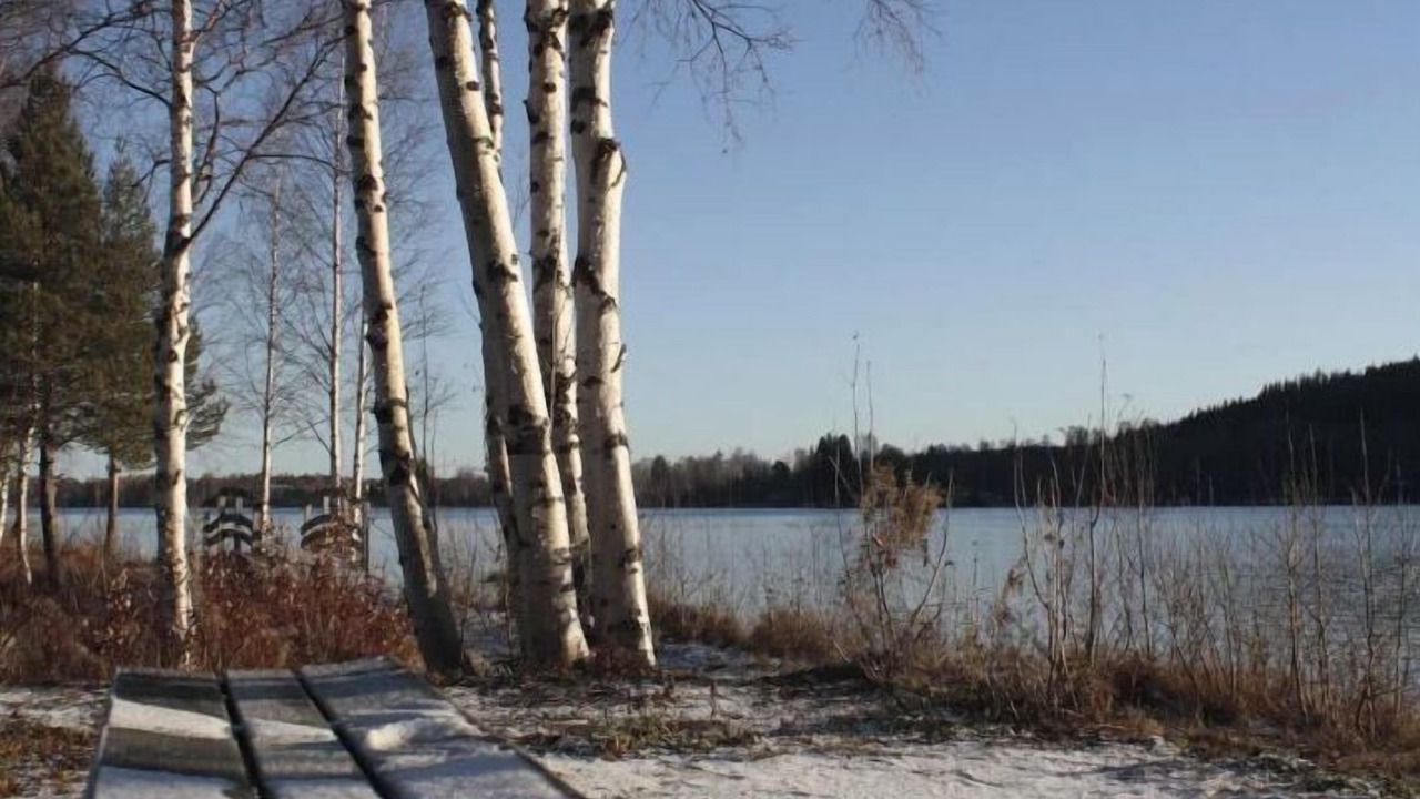 Photo of Outdoor in Rovaniemi