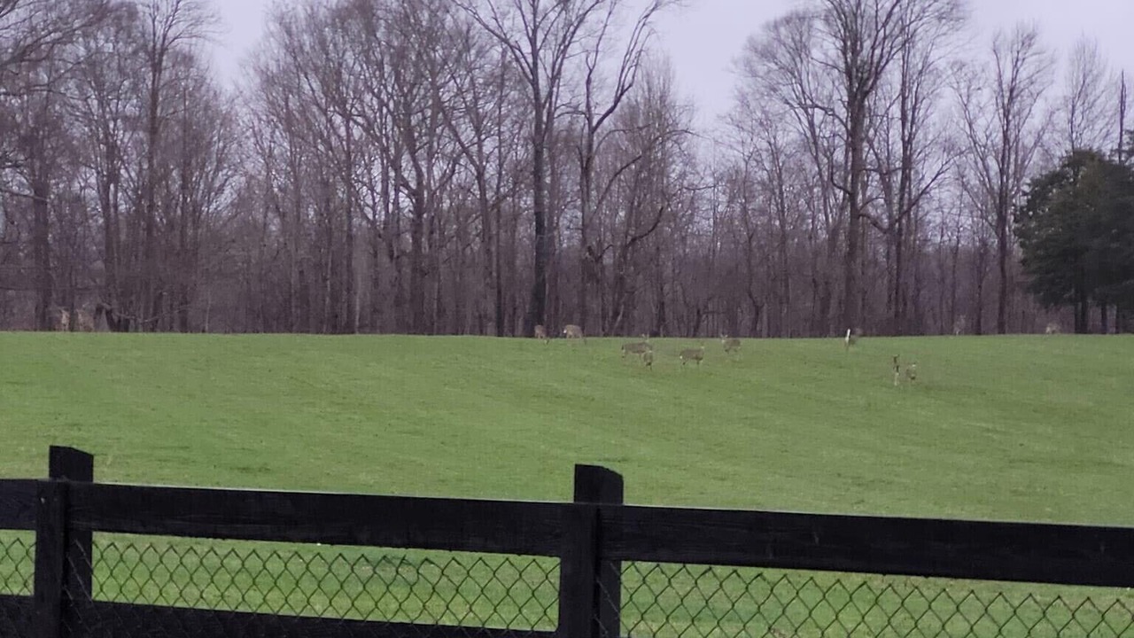Photo of Others in Byrdstown