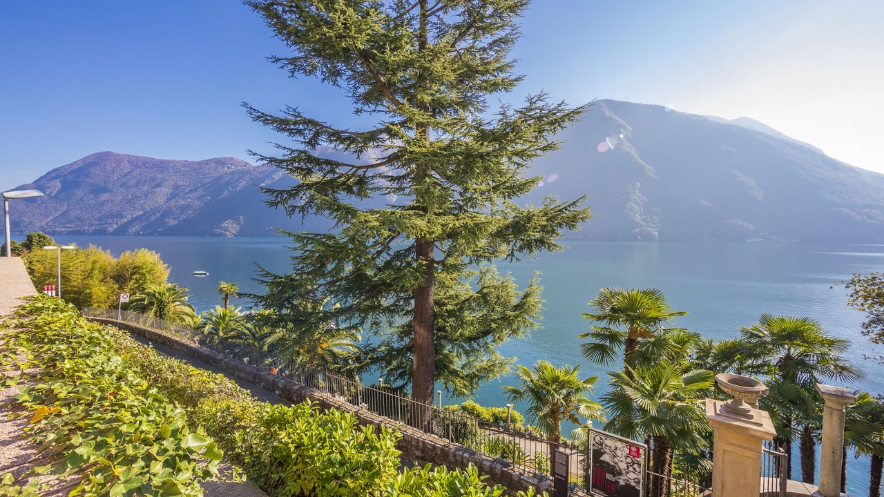 Photo of Outdoor in Castagnola