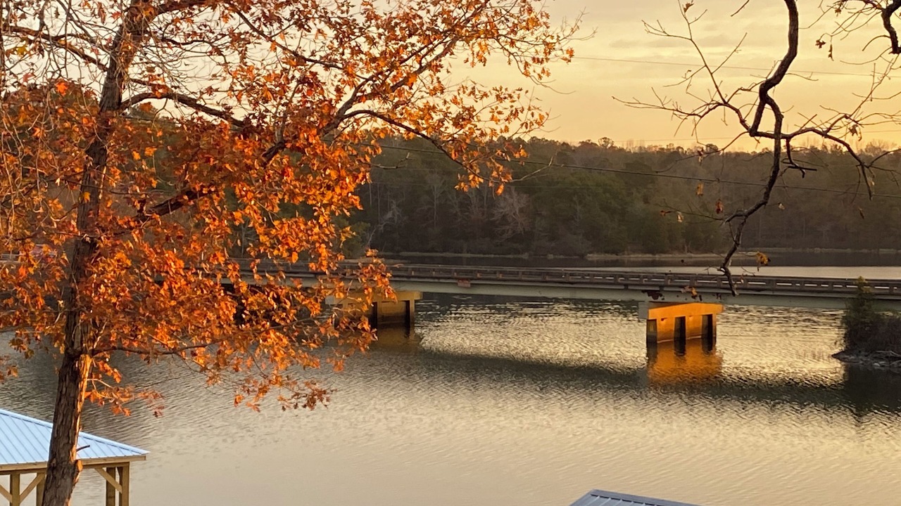 Photo of Others in Northport