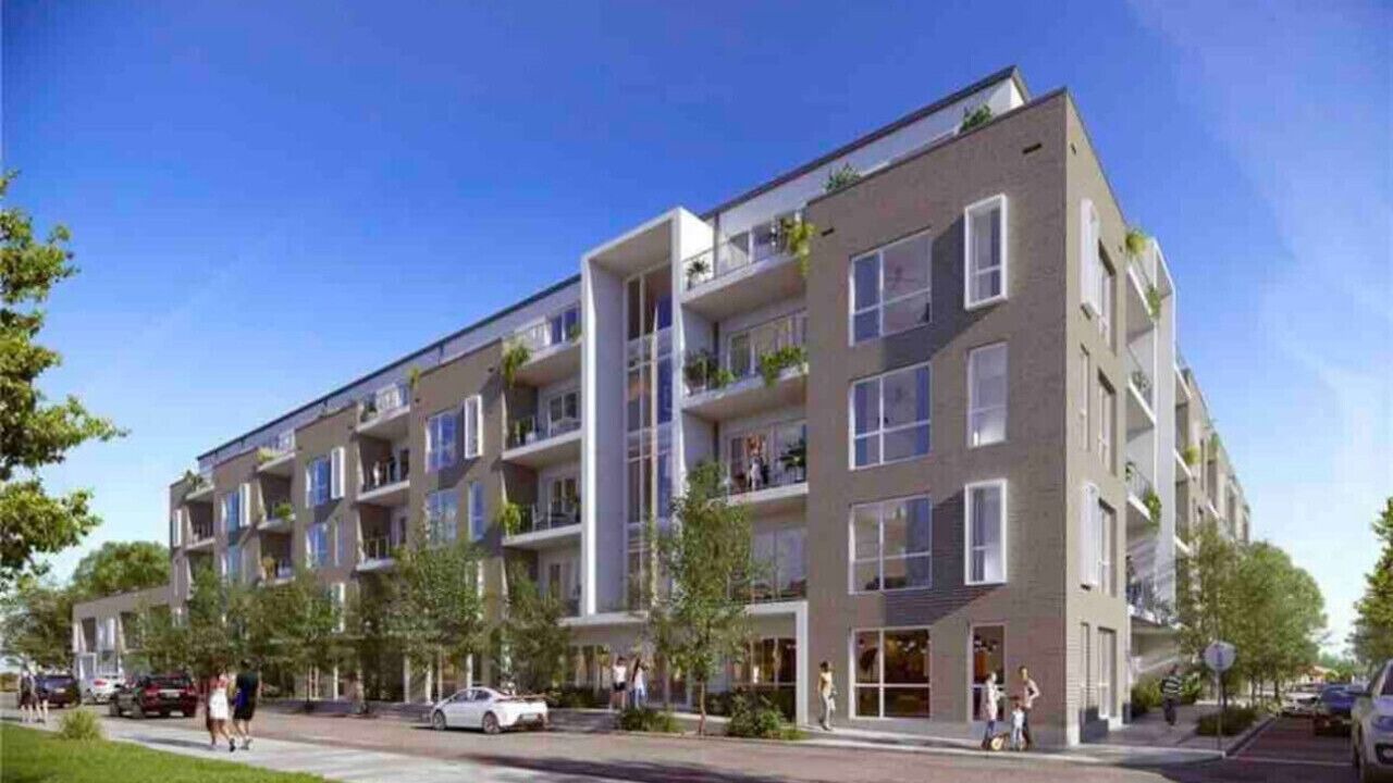 Photo of Outdoor in New Orleans