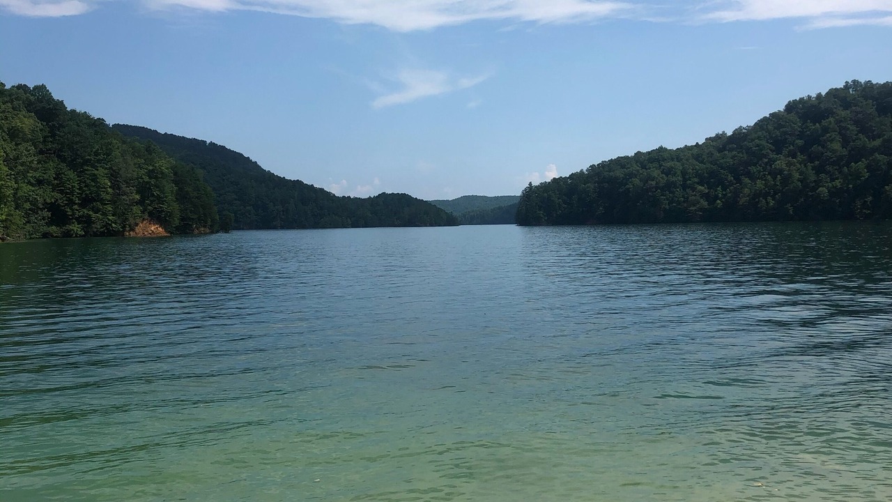 Photo of Others in Seneca