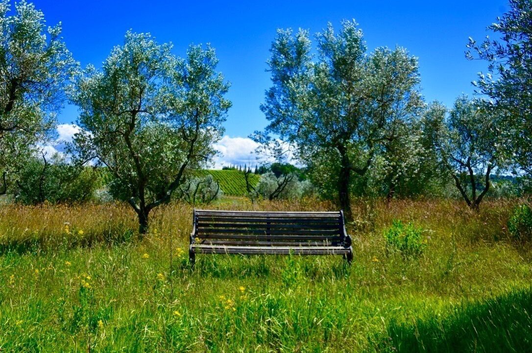 Photo of Outdoor in Montaione