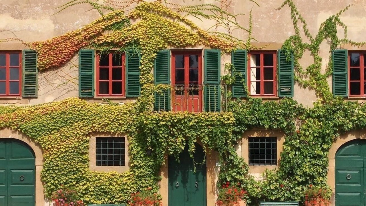 Photo of Outdoor in Montaione