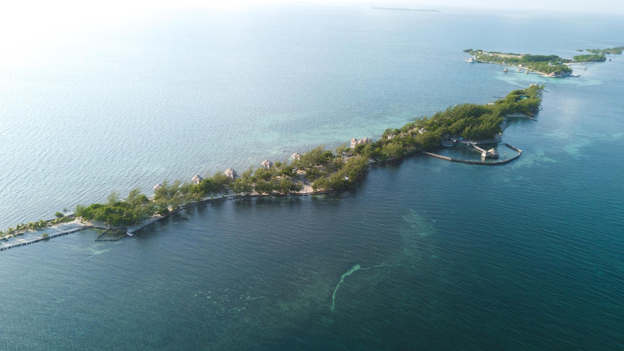 Photo of Others in Thatch Caye