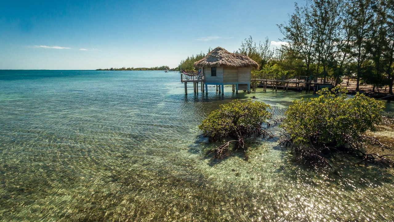 Photo of Others in Thatch Caye
