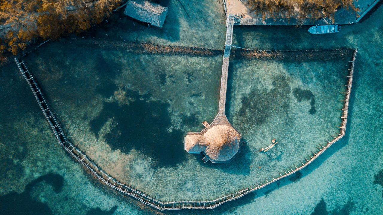 Photo of Others in Thatch Caye