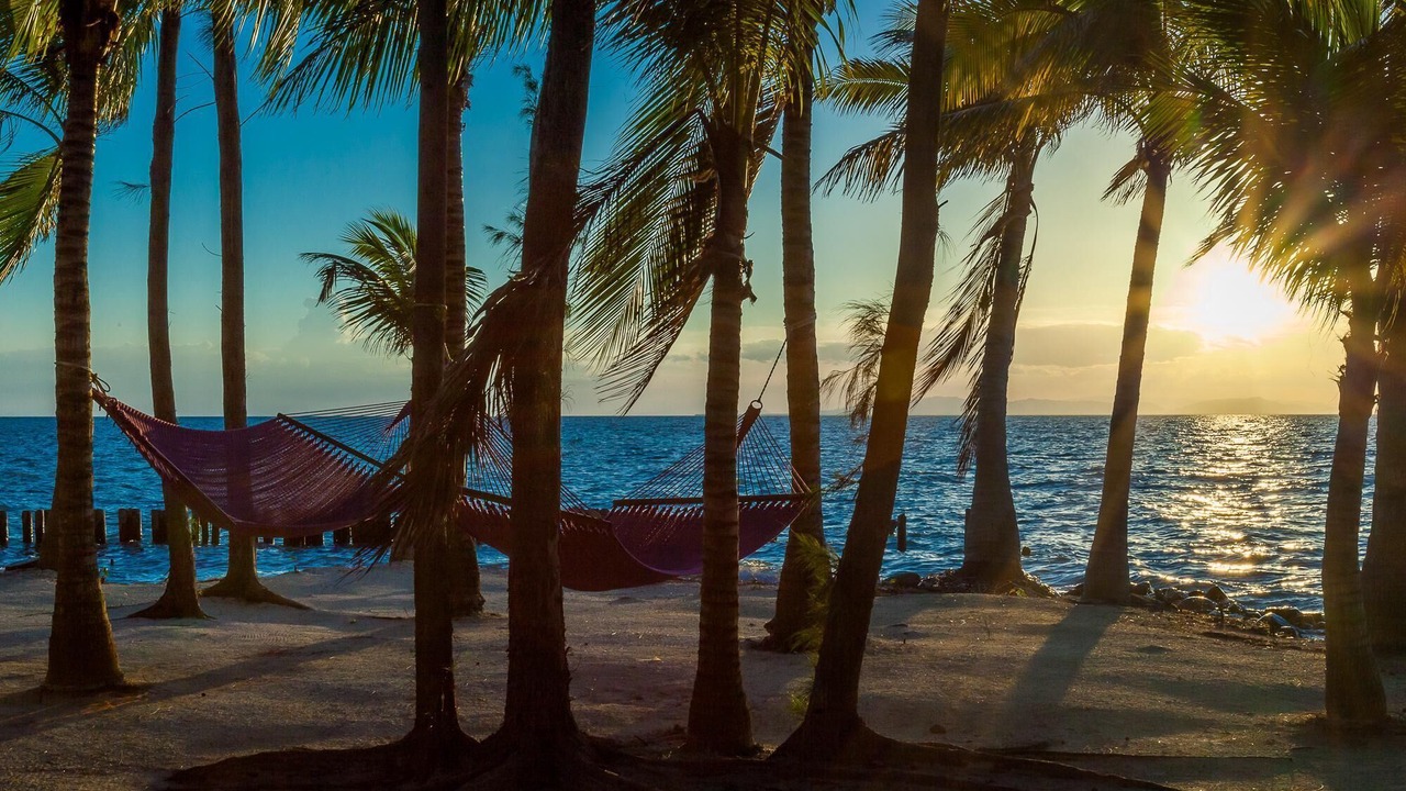 Photo of Others in Thatch Caye