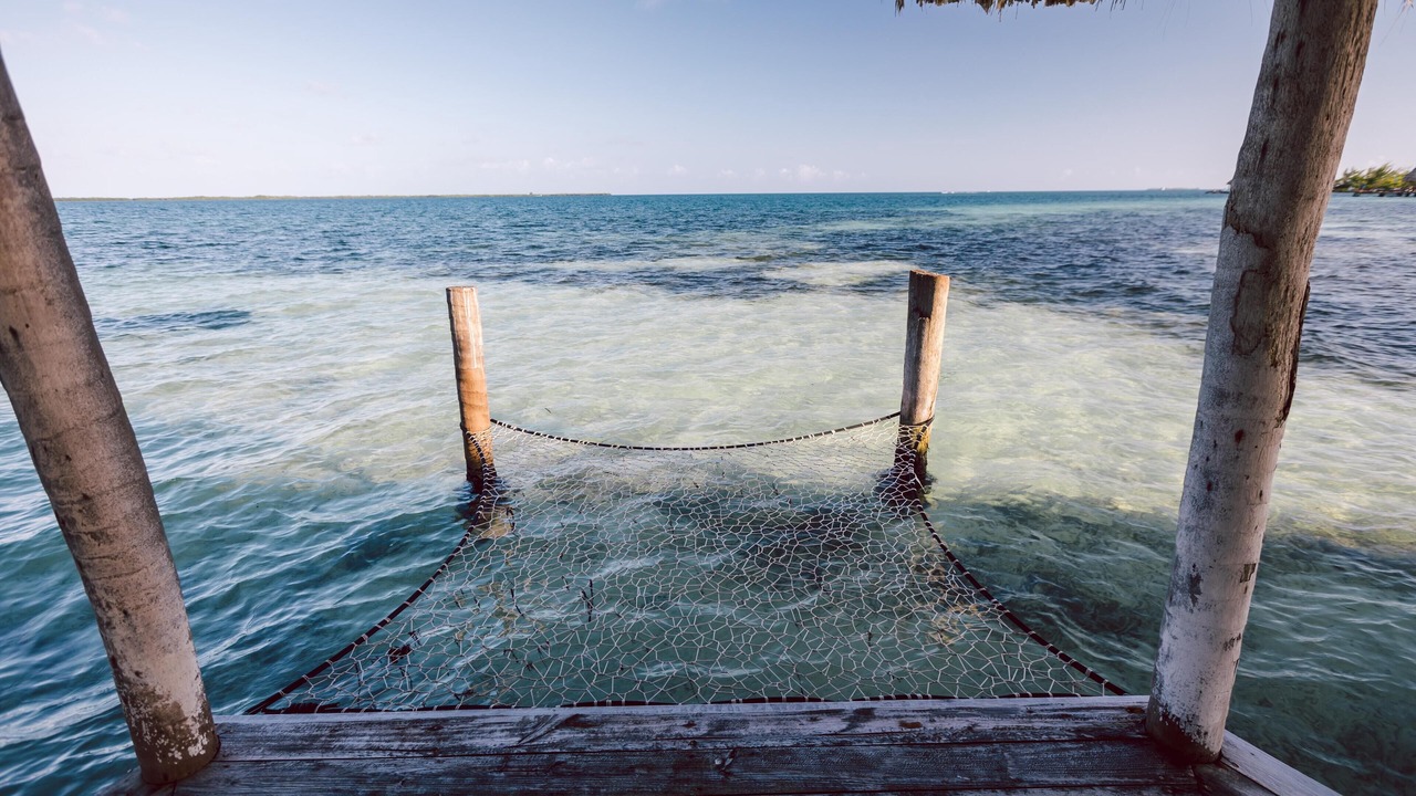 Photo of Others in Thatch Caye