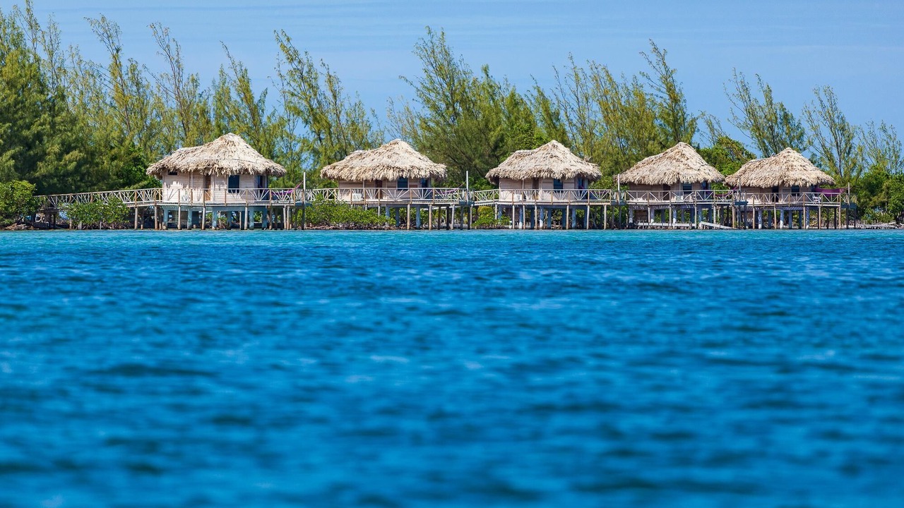 Photo of Others in Thatch Caye