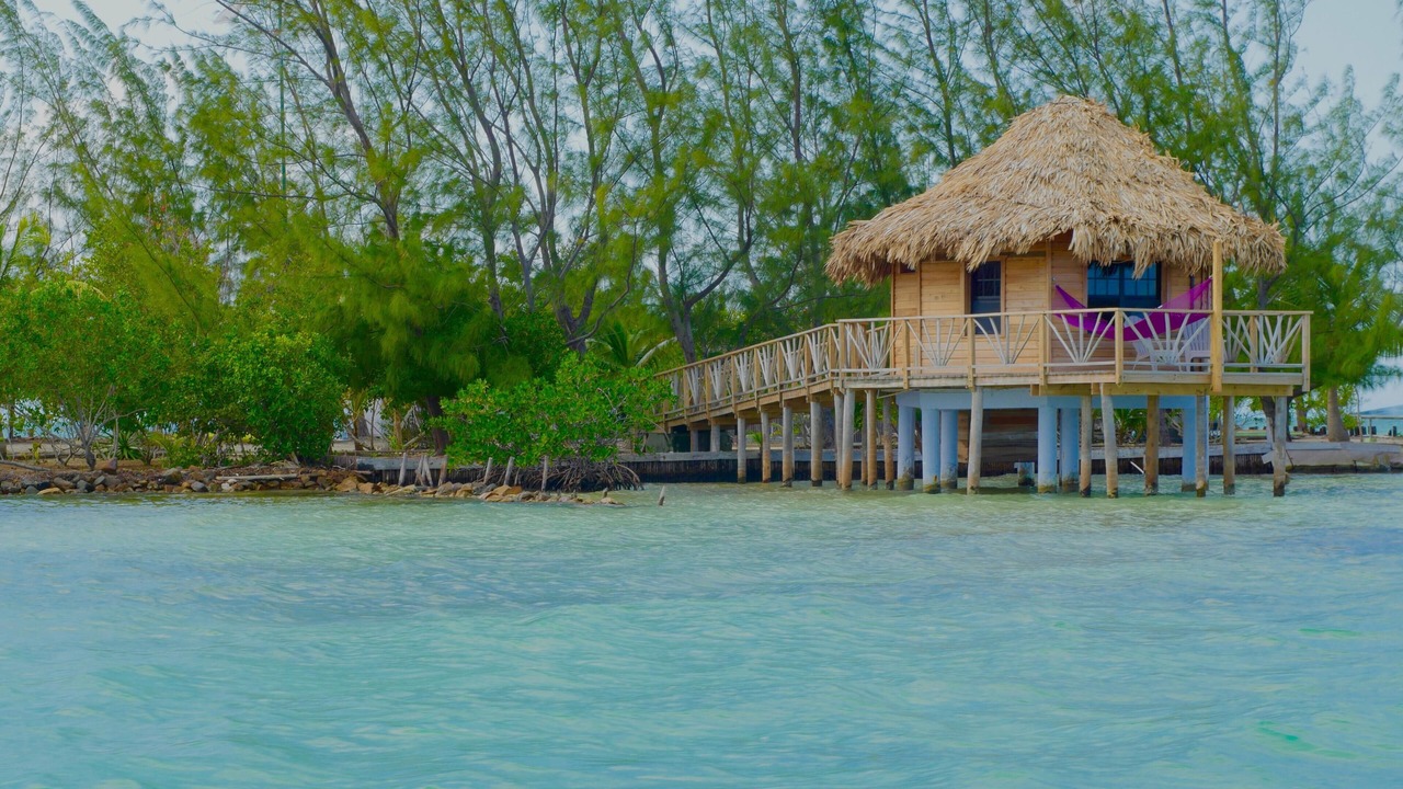 Photo of Others in Thatch Caye