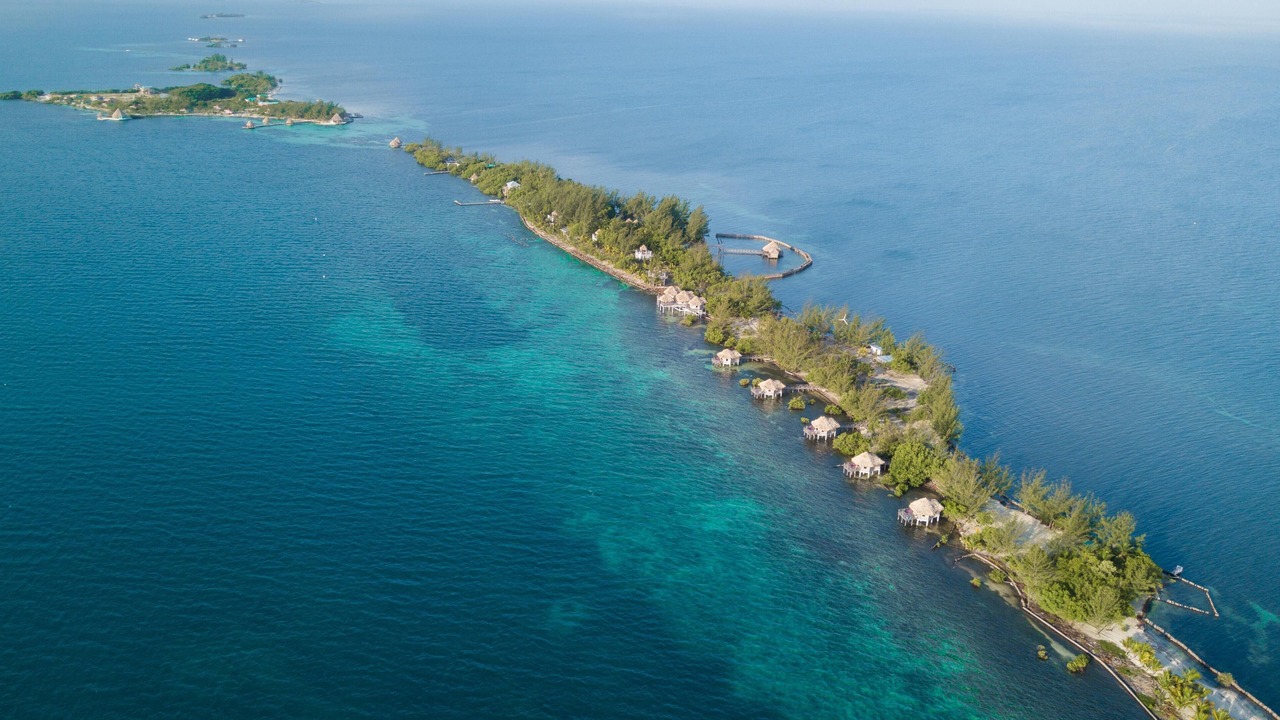 Photo of Others in Thatch Caye
