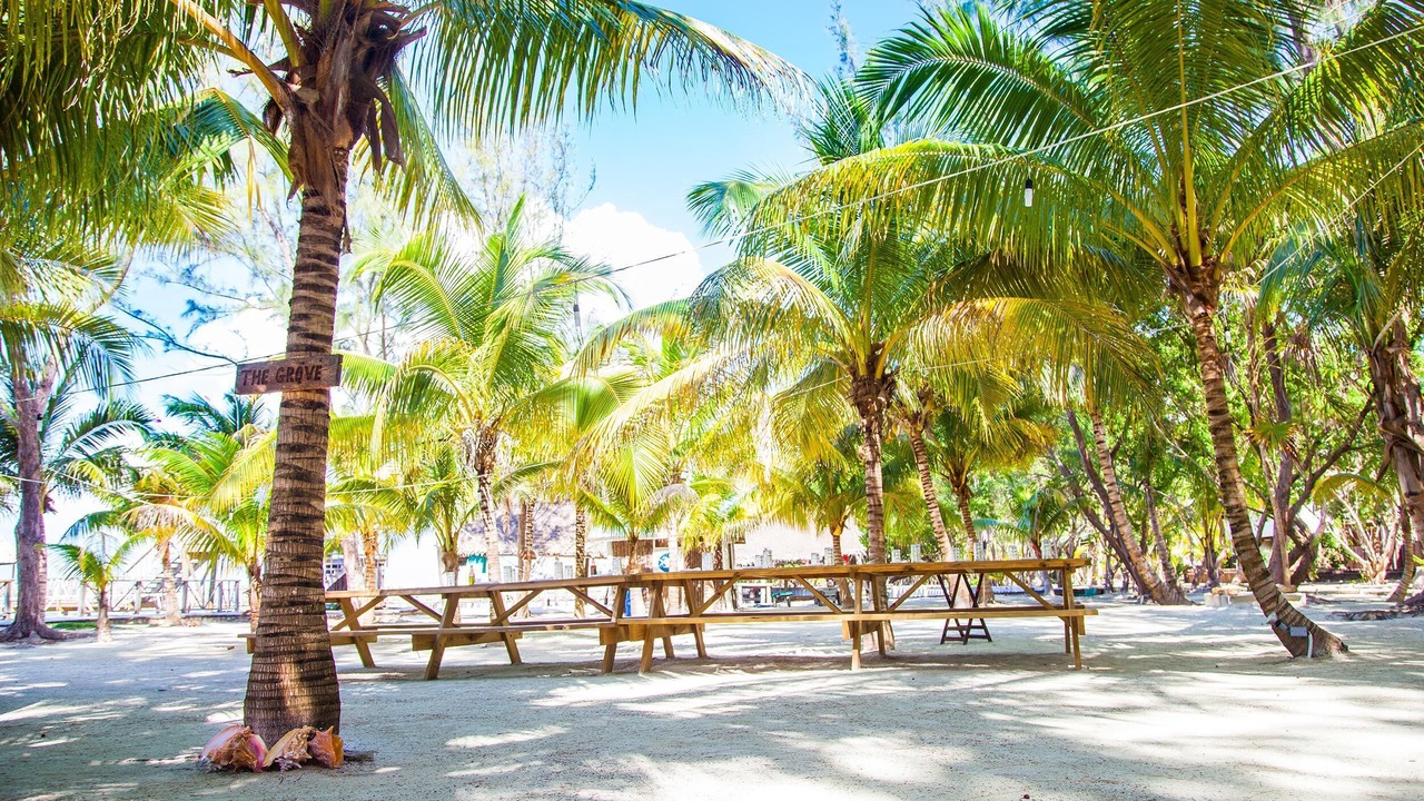 Photo of Others in Thatch Caye