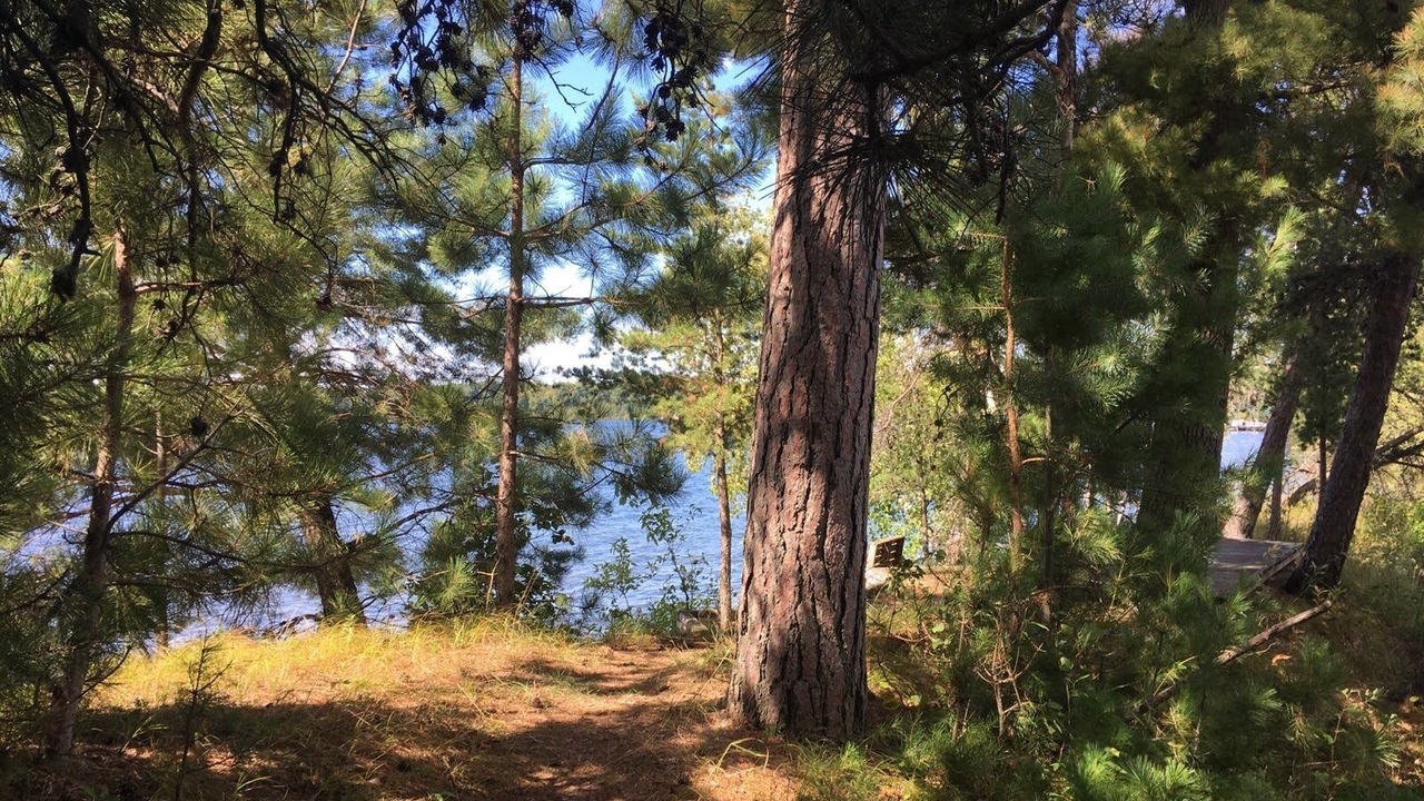 Photo of Outdoor in Crosslake