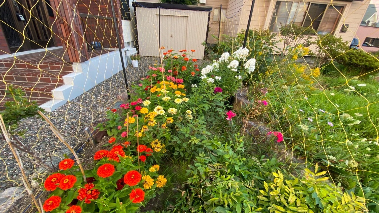 Photo of Outdoor in Shiraoi