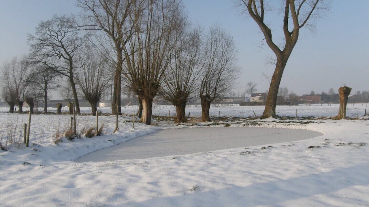 Photo of Others in Zerkegem