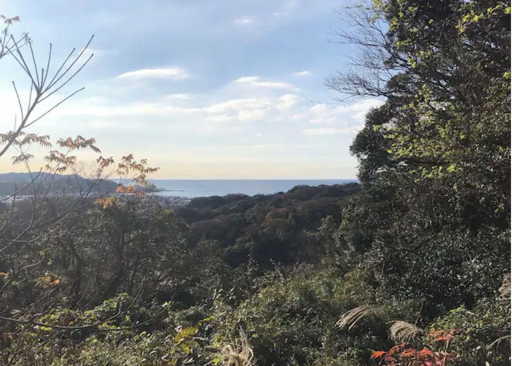 Photo of Others in Kamakura