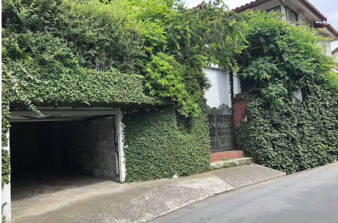 Photo of Outdoor in Kamakura
