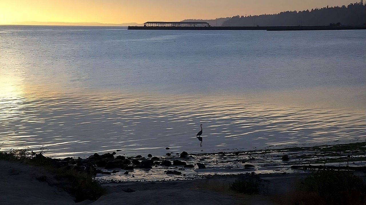 Photo of Others in Port Angeles