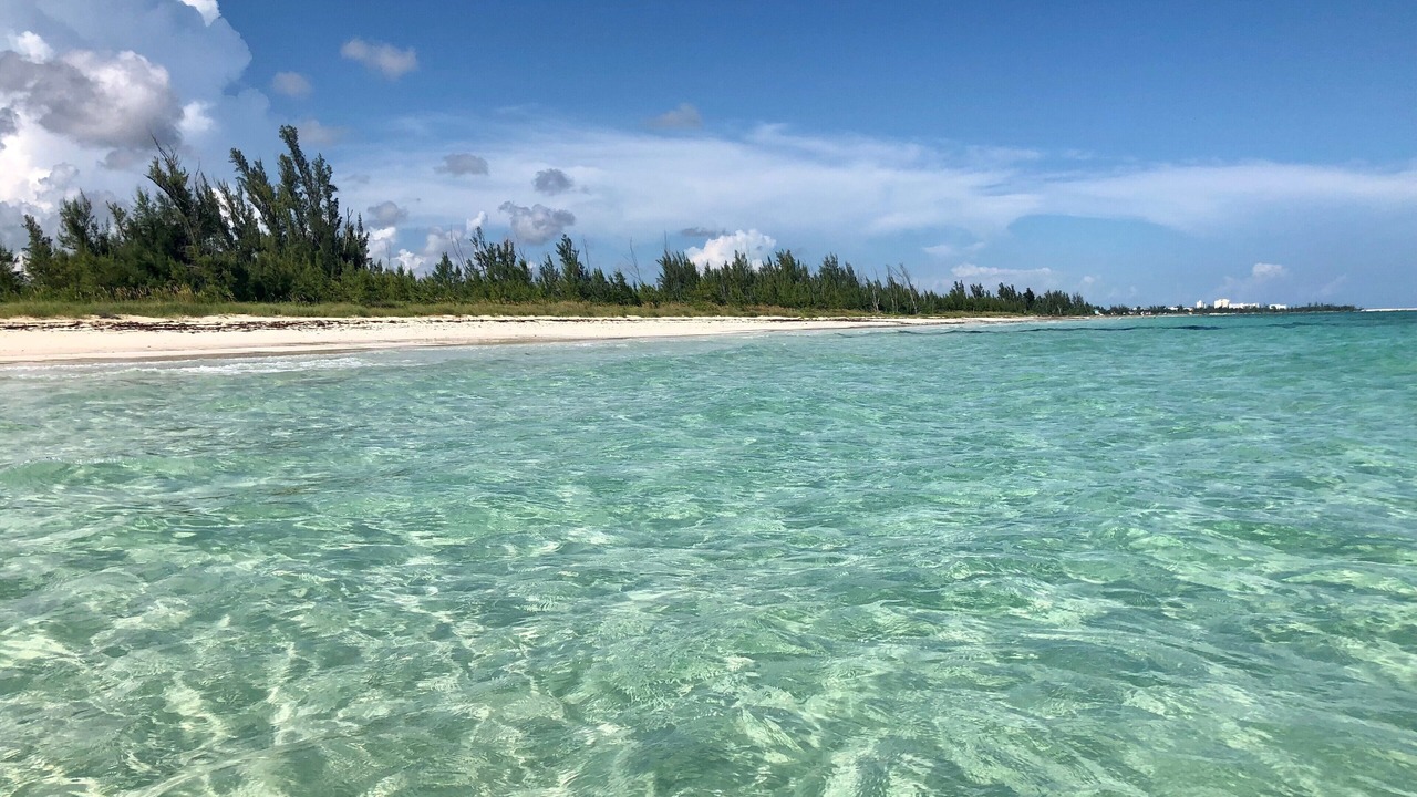 Photo of Others in Bahamas Terrace