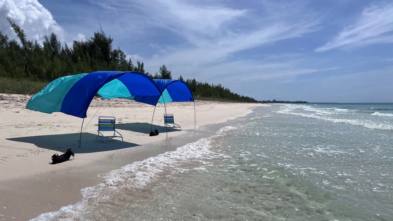 Photo of Others in Bahamas Terrace