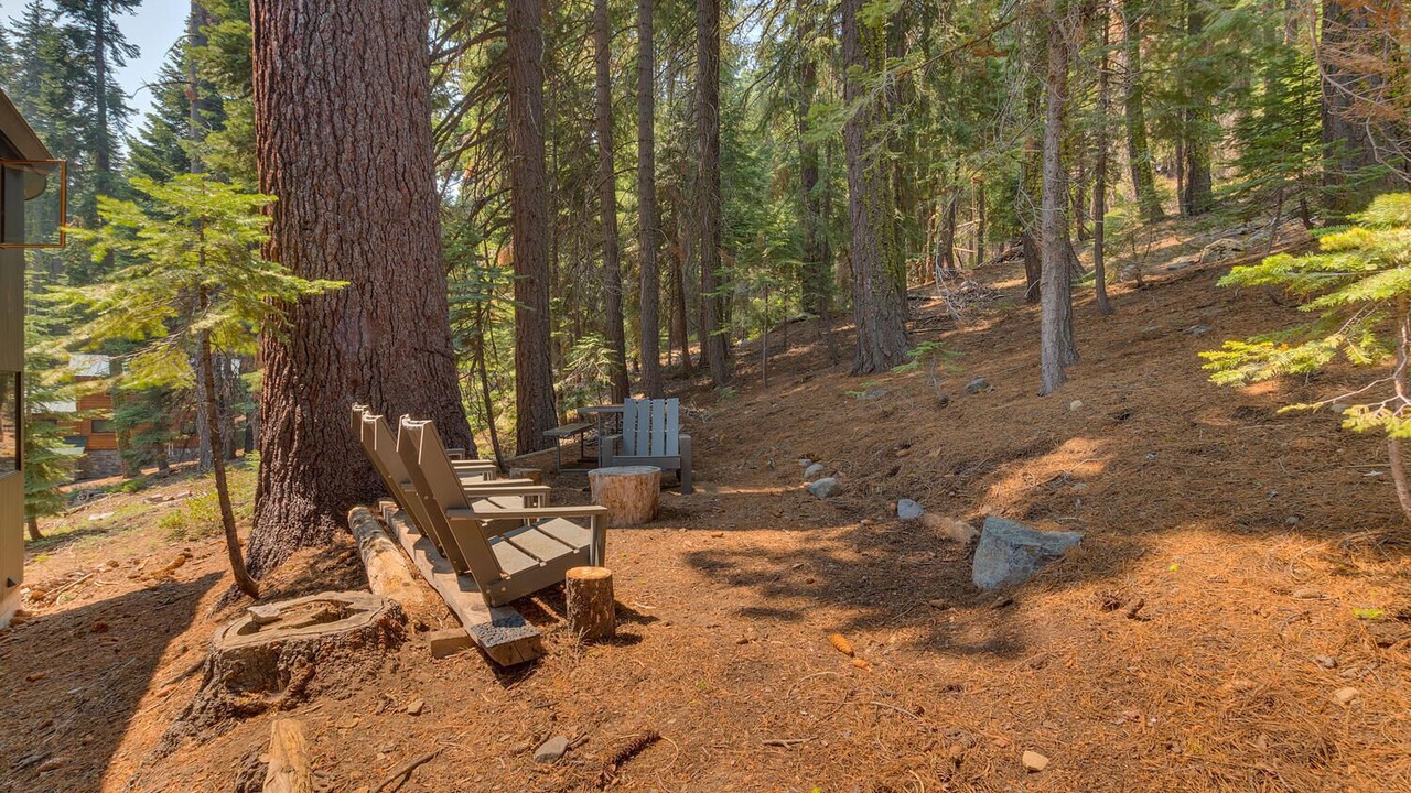 Photo of Outdoor in Tahoe Pines