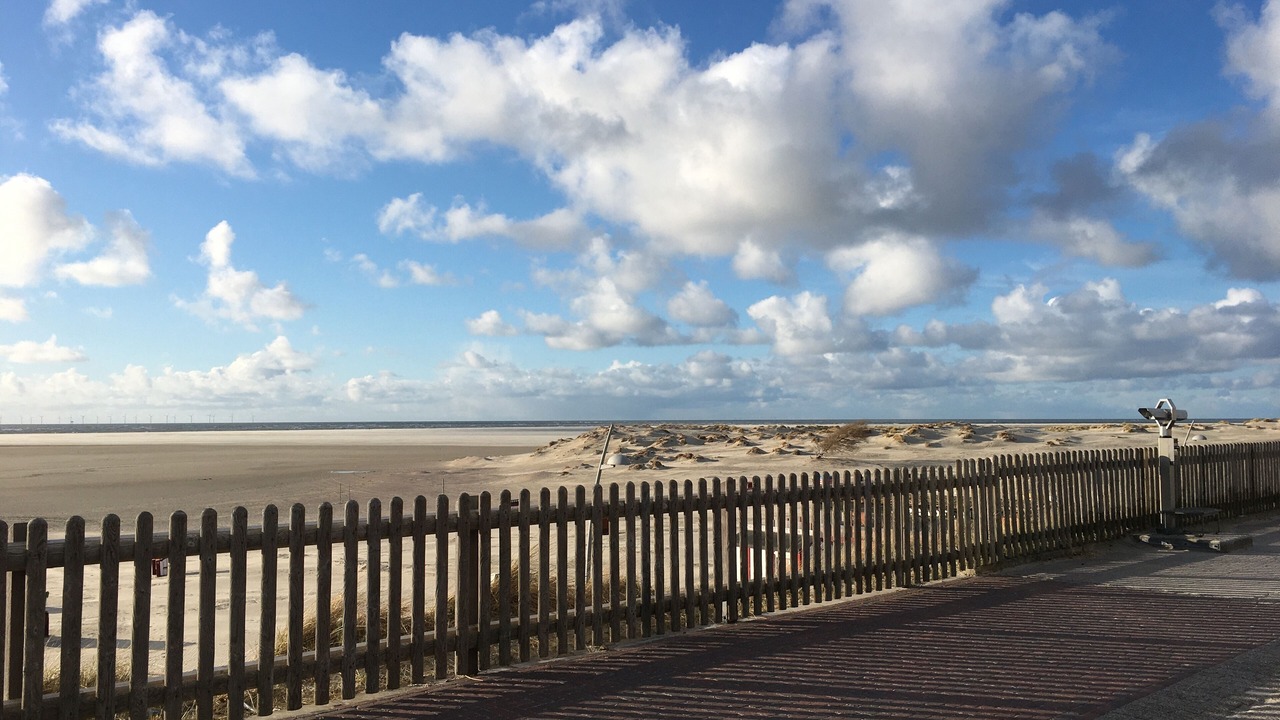 Photo of Others in Borkum