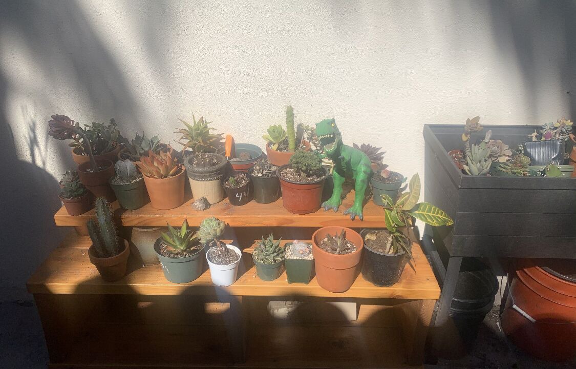 Photo of Others in Laguna