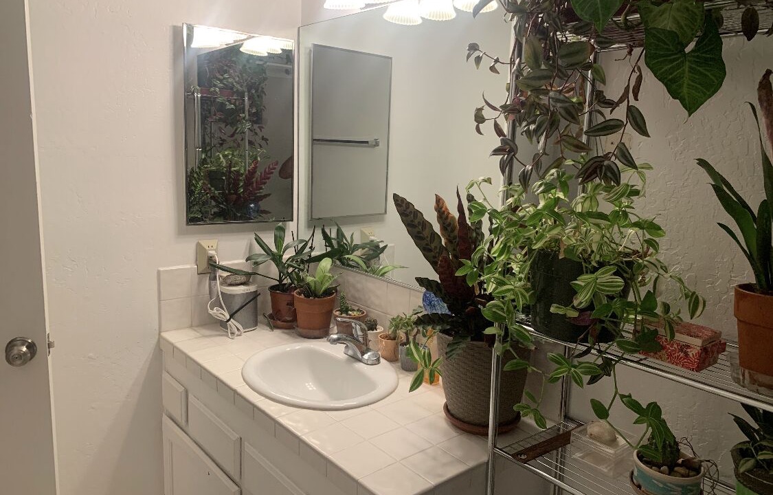 Photo of Bathroom in Laguna