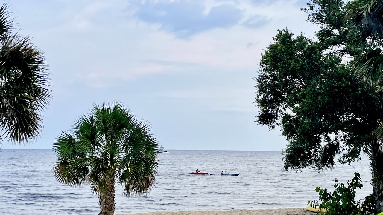 Photo of Others in Sanders Beach