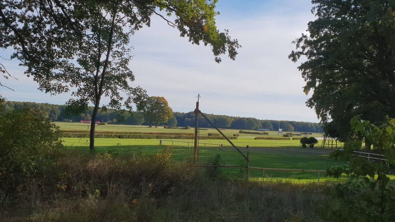Photo of Others in Birkenstein