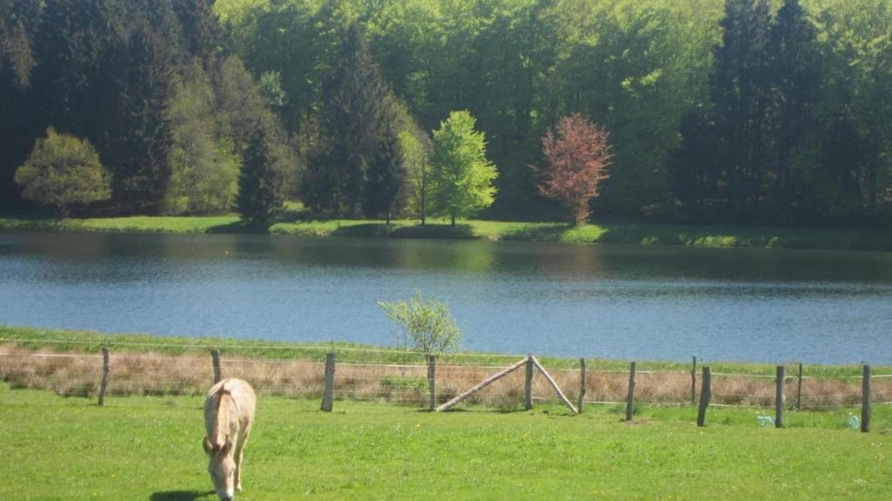 Photo of Others in Geel