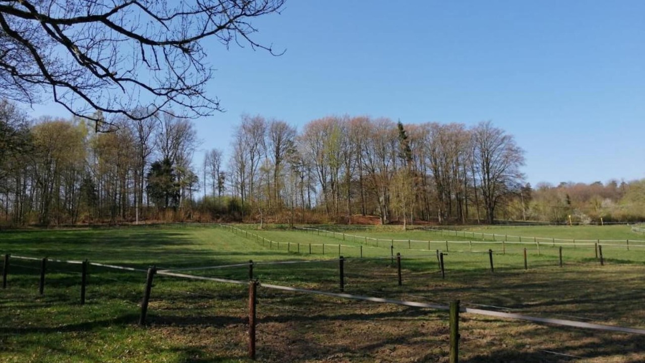 Photo of Others in Geel