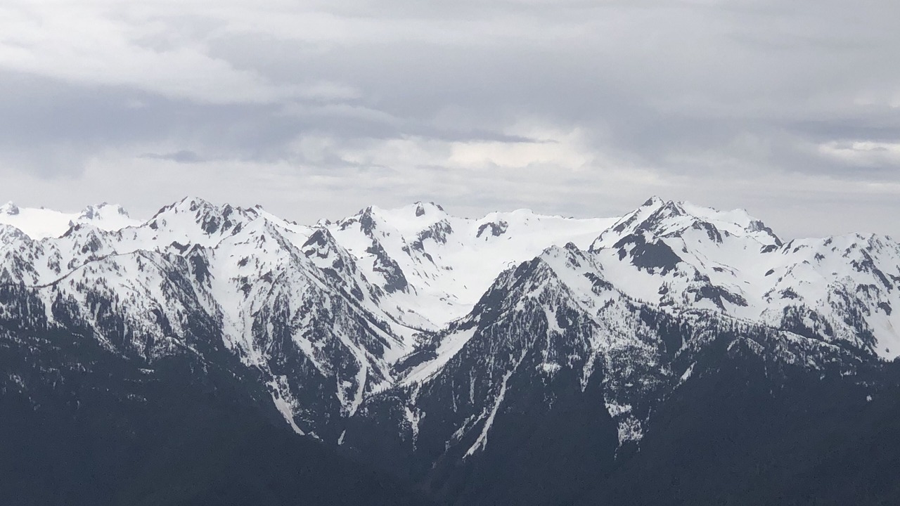 Photo of Others in Port Angeles