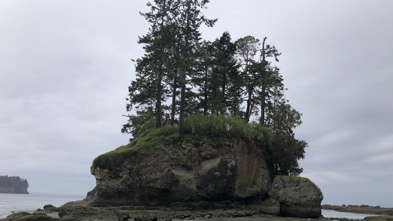 Photo of Others in Port Angeles