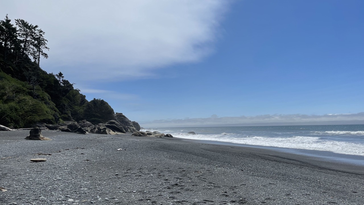 Photo of Others in Port Angeles
