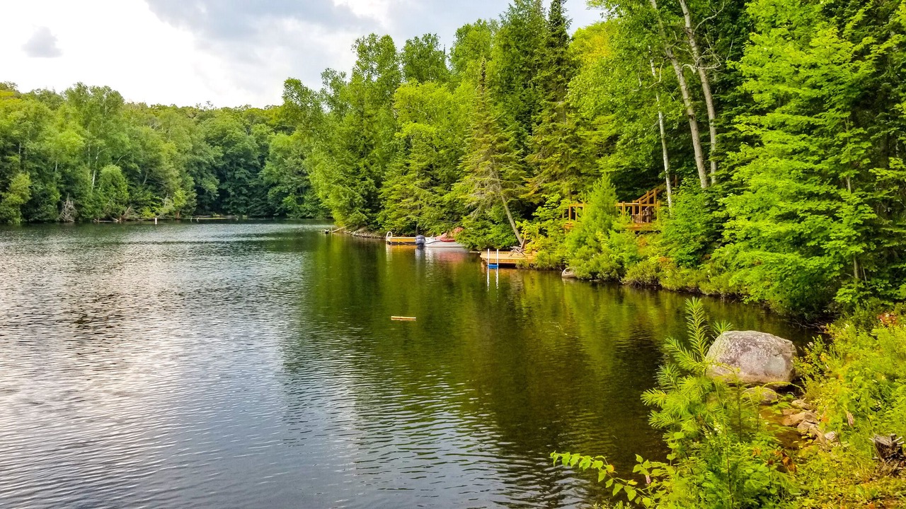 Photo of Outdoor in Algonquin Highlands
