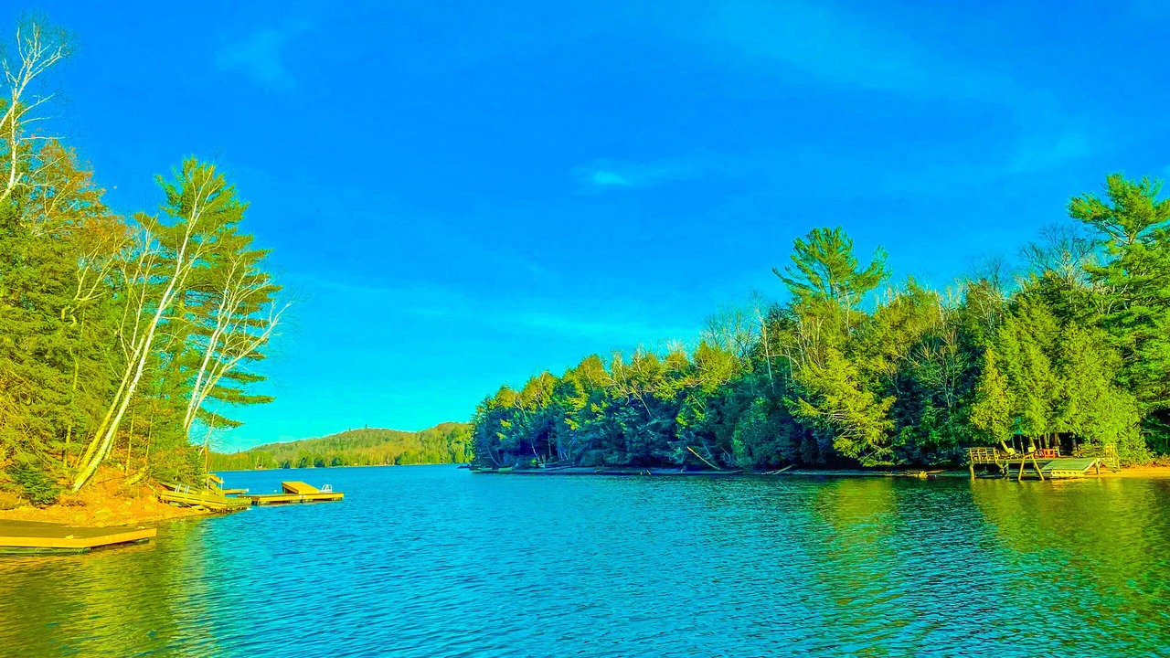 Photo of Outdoor in Algonquin Highlands