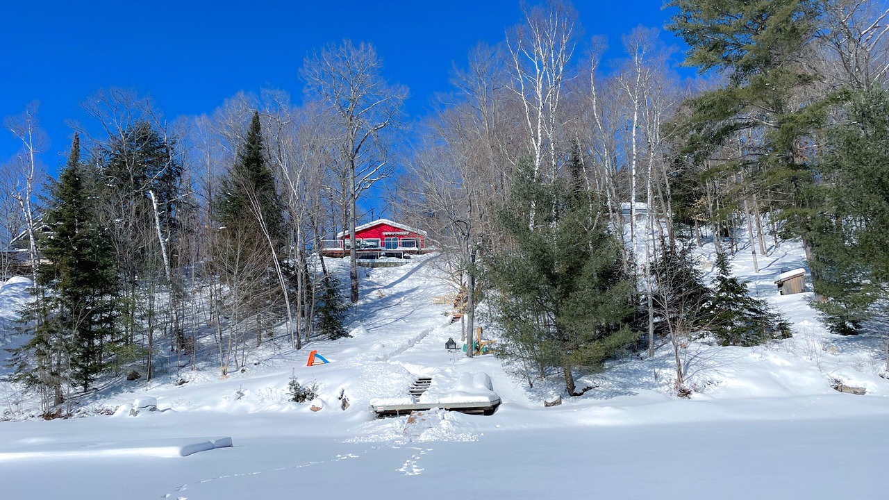 Photo of Outdoor in Algonquin Highlands