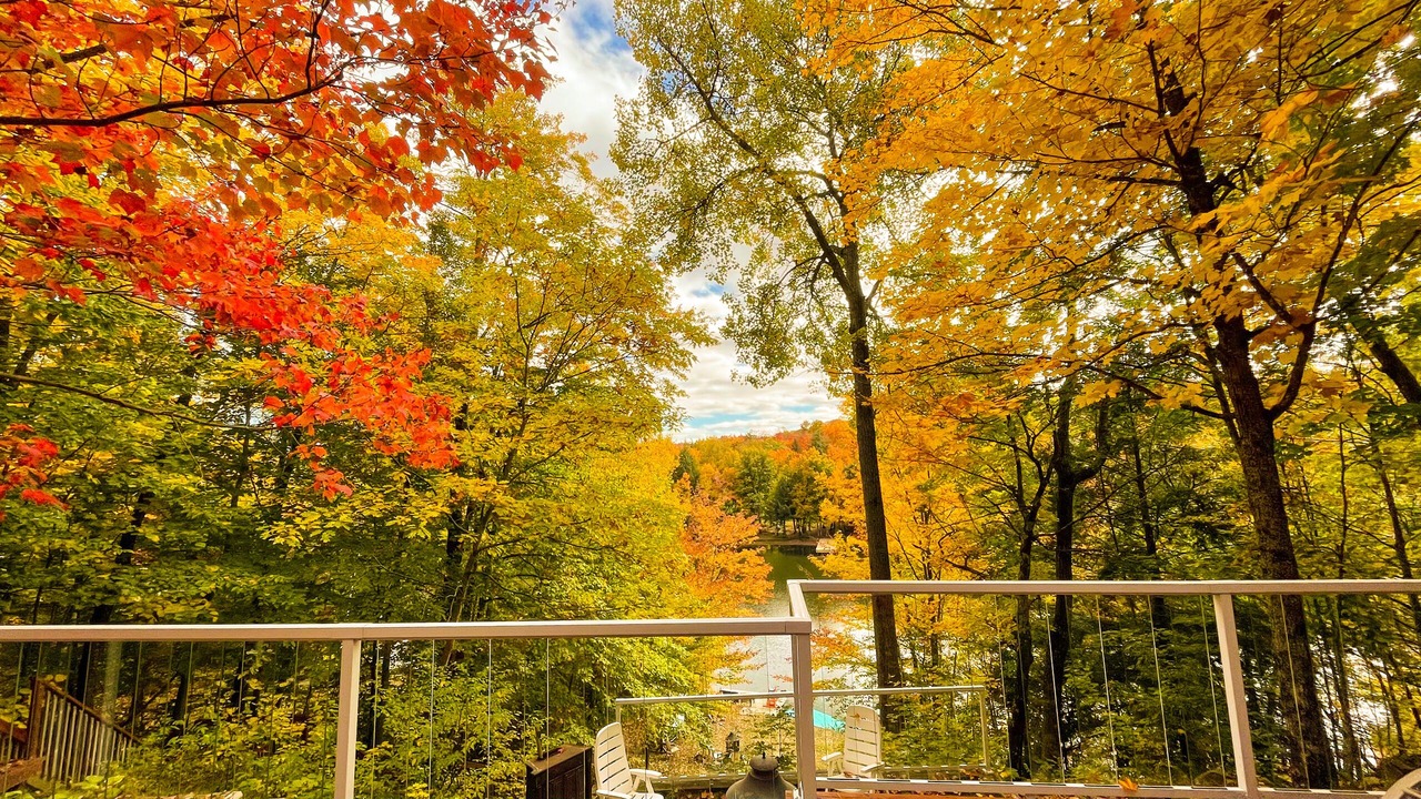 Photo of Others in Algonquin Highlands